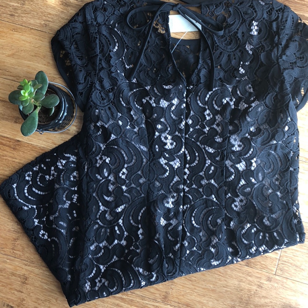 NWT! Loft short sleeve lace shift dress - Picture 2 of 7